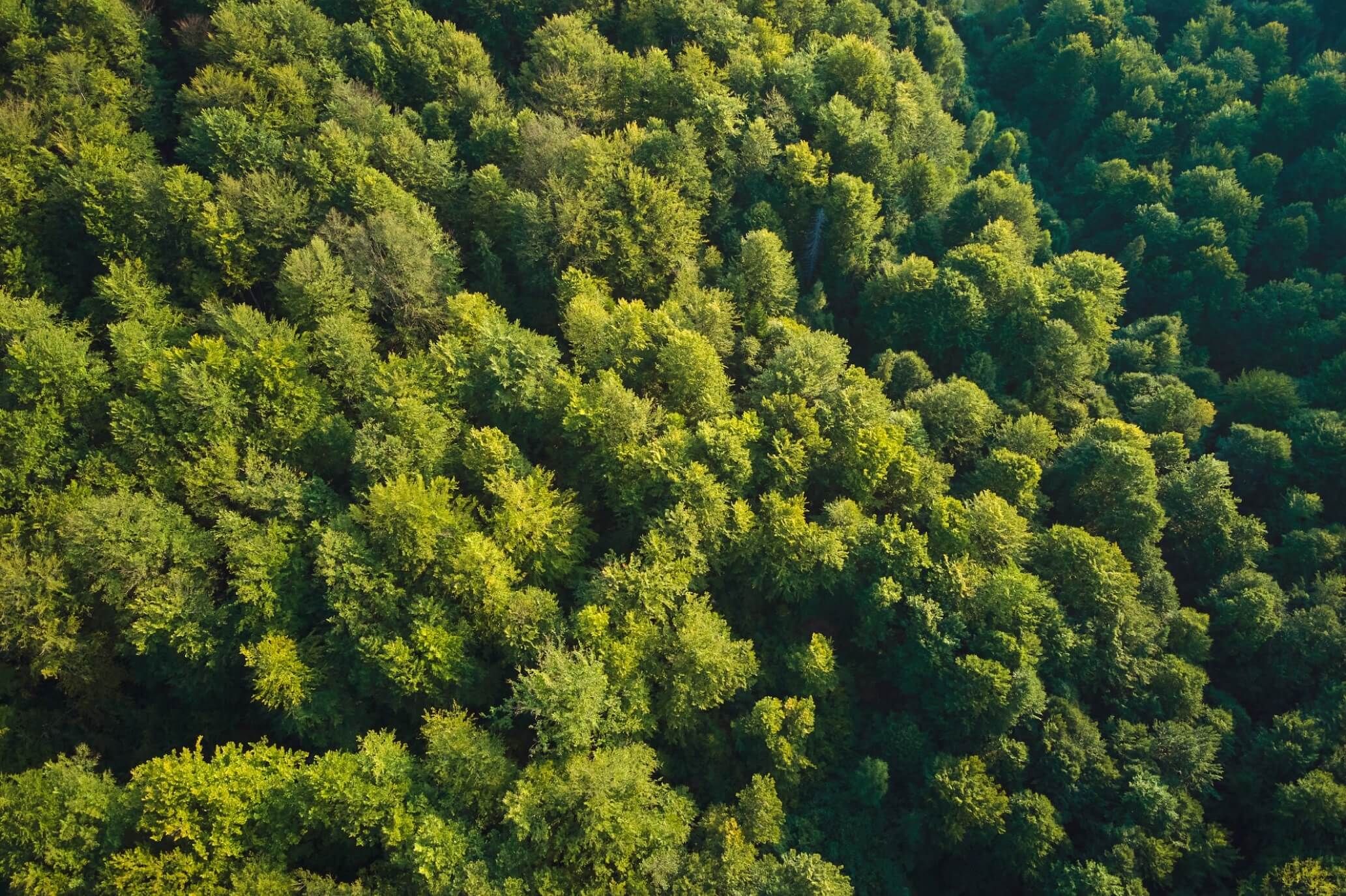 Ekologický
a moderní přístup.